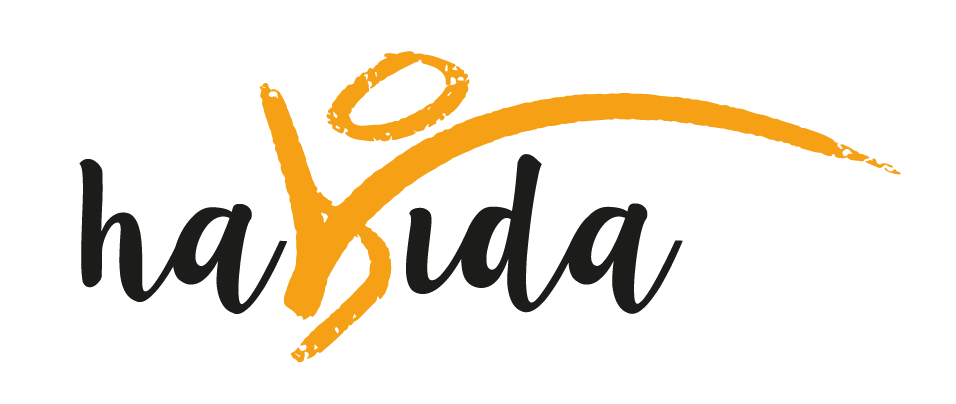 logo-habvida