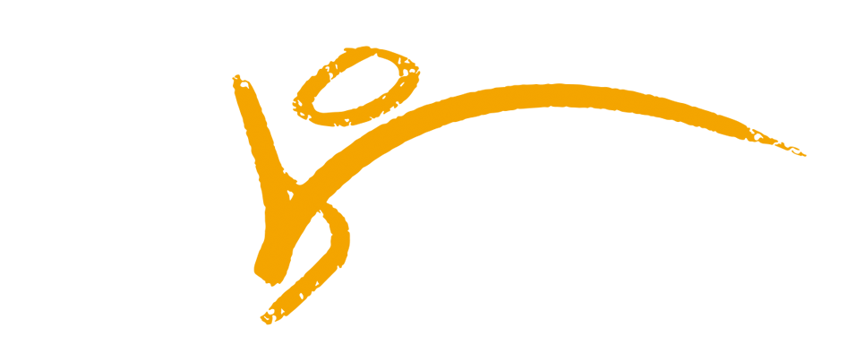 logo-habvida