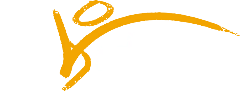 logo-habvida